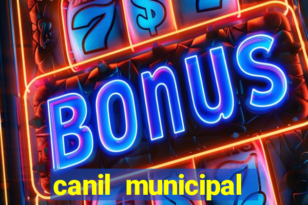 canil municipal porto alegre